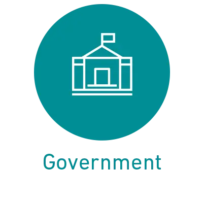 government